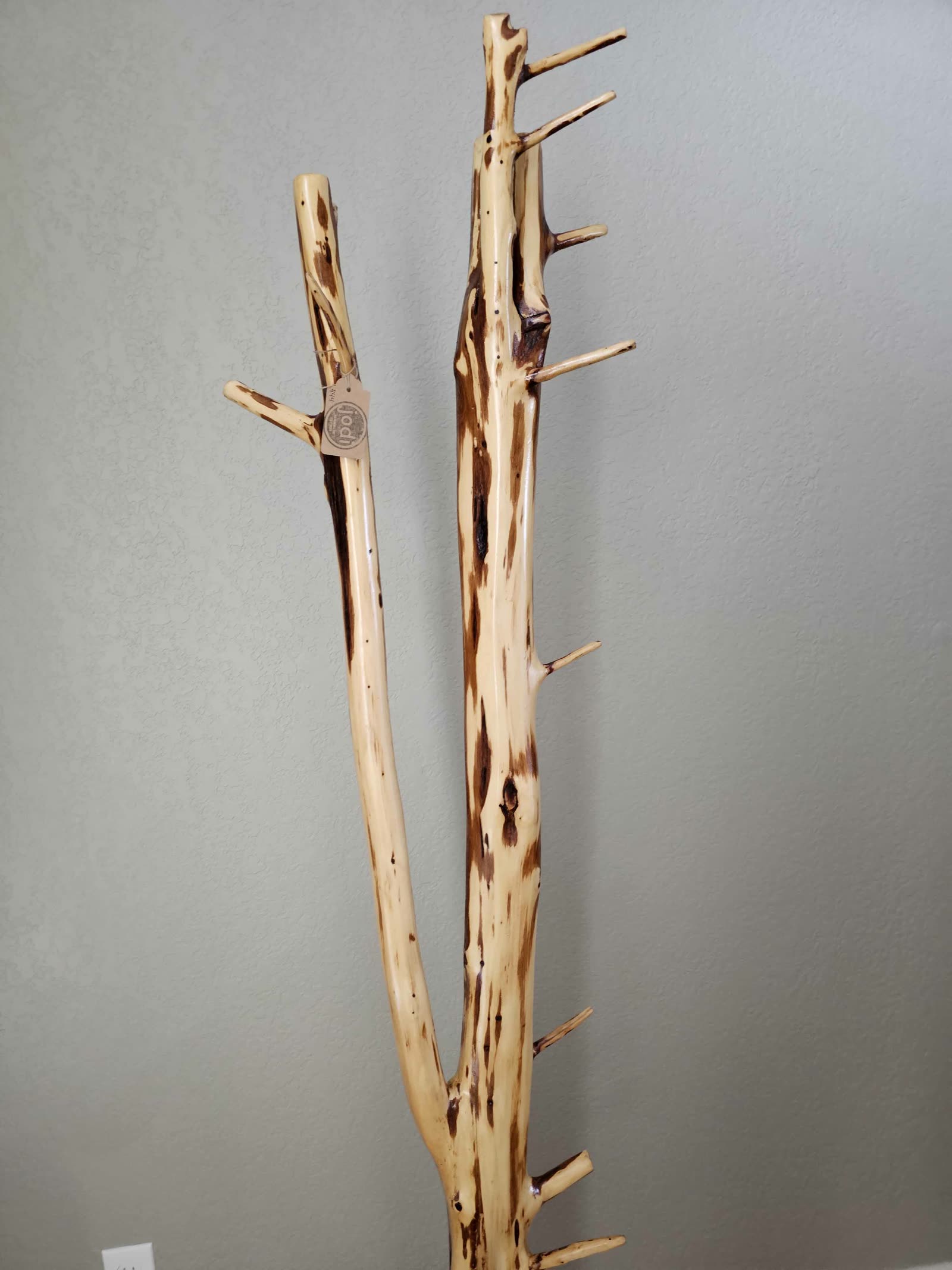 Eastern red cedar trunk coat tree
