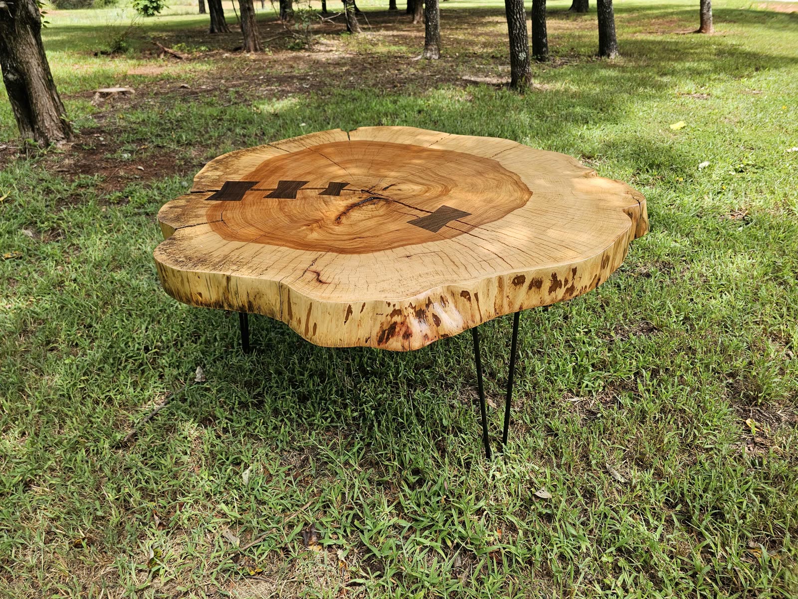 Live-edge pecan cookie coffee table on hairpin legs